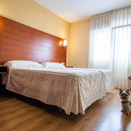 Viella Asturias 招待所 奥维耶多