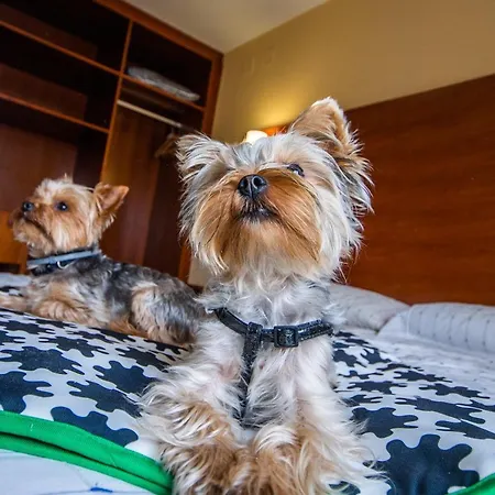 Viella Asturias Konukevi