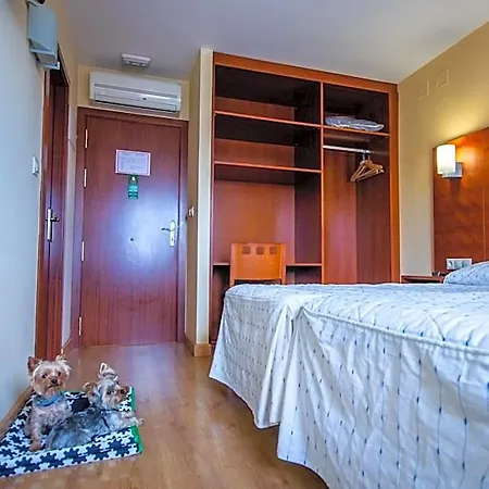 Viella Asturias Pensionat
