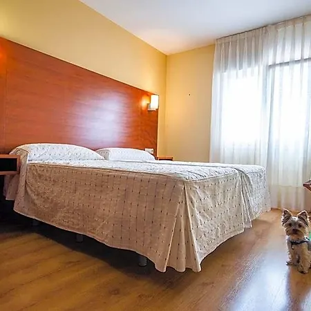 Viella Asturias Pensionat 2*