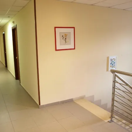 Viella Asturias Oviedo