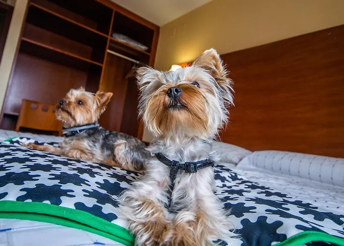 Viella Asturias Pensjonat